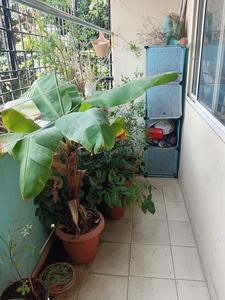 Balcony Image of 1020 Sq.ft 2 BHK Apartment / Flat for sale in Bommanahalli Bengaluru for Rs. 8500000