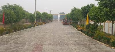 Image of 1000 Sq.ft Residential Plot / Land for sale in Khujauli, Lucknow for Rs. 1200004