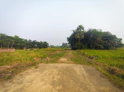 Image of 2160 Sq.ft Residential Plot / Land for sale in Jelepara, Hooghly for Rs. 769500