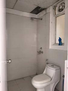 Common Bathroom Image of 900 Sq.ft 2 BHK Apartment / Flat for sale in Pyramid Urban Homes, Sector 70A Gurgaon for Rs. 7200000