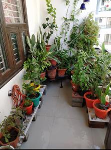 Balcony Image of 1350 Sq.ft 3 BHK Apartment / Flat for sale in Vaishali Nagar Jaipur for Rs. 7500000