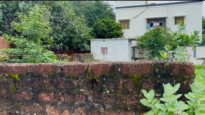 Shankarpur Main Image 1