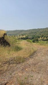 Image of 11000 Sq.ft Residential Plot / Land for sale in Kikvi, Pune for Rs. 1785000