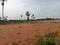 SGD Developers Plot View 2