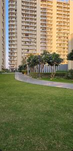 Image of 2191 Sq.ft 3 BHK Apartment / Flat for sale in BPTP Terra, Sector 37D, Gurgaon for Rs. 29578500