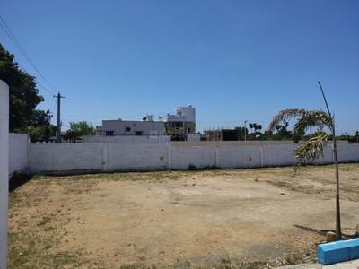 Paruthipattu check post Plot View 2