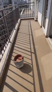 Image of 900 Sq.ft 3 BHK Apartment / Flat for sale in ROF Amaltas, Sector 92, Gurgaon for Rs. 6800000
