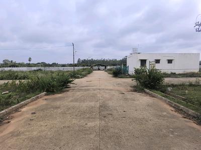 Image of 900 Sq.ft Residential Plot / Land for sale in Hoskote, Bengaluru for Rs. 2565000