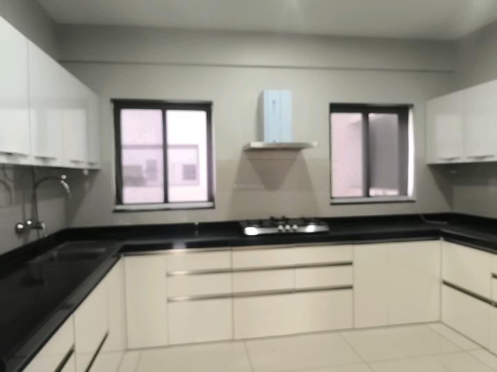 Skyi Songbirds Main Image 1