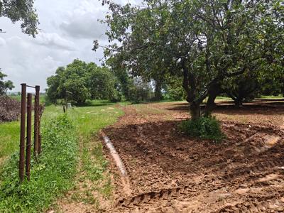 Image of 39300 Sq.ft Residential Plot / Land for sale in Kothapalle, Hyderabad for Rs. 60900000