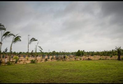 Image of 7000 Sq.ft Residential Plot / Land for sale in Sankarpur, Puri for Rs. 3500000