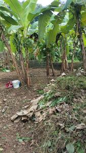 Image of 220 Sq.ft Residential Plot / Land for sale in Kaipadi, Thiruvananthapuram for Rs. 2500000