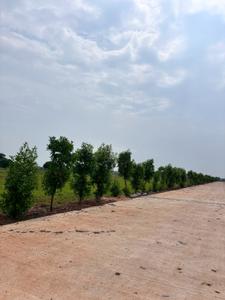 Image of 1250 Sq.ft Residential Plot / Land for sale in Old Dhamtari Road, Raipur for Rs. 3125000