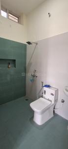 Bathroom Image of 1450 Sq.ft 2 BHK Apartment / Flat for rent in Manduwala Dehradun for Rs. 28000