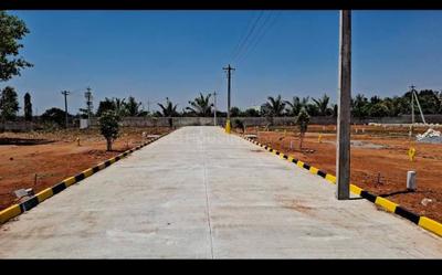 Cantt Plot View 3