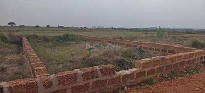 Patrapada Plot View 2