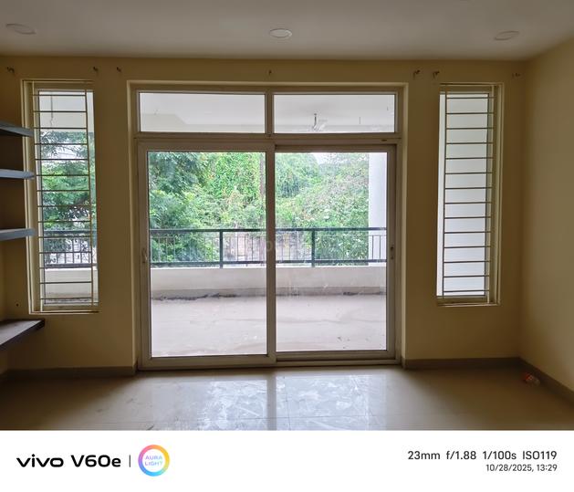 Koncept Palm County Rows Main Image 1