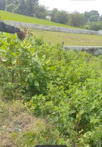 Image of 2600 Sq.ft Residential Plot / Land for sale in Bakshi Ka Talab, Lucknow for Rs. 5400000