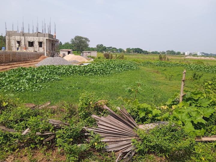 Patrapada Main Image 1