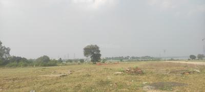 Shiv Nagar Phase 3 Plot View 2