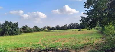 Image of 87120 Sq.ft Residential Plot / Land for sale in Ranga Reddy, Shankar palle mandal, Hyderabad for Rs. 32000000