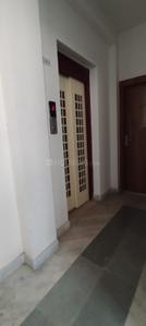 Hall Image of 1297 Sq.ft 3 BHK Apartment / Flat for sale in Haltu Kolkata for Rs. 7700000