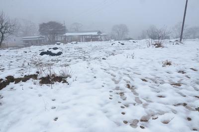 Image of 2160 Sq.ft Residential Plot / Land for sale in Majkhali, Ranikhet for Rs. 3700000