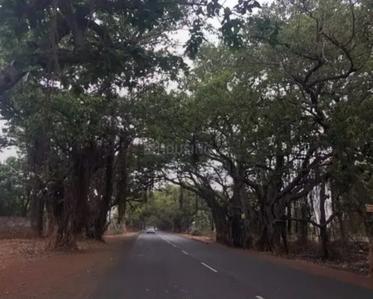Image of 2000 Sq.ft Residential Plot / Land for sale in Haappy Home Mind Game, Deoli, Nagpur for Rs. 2800000