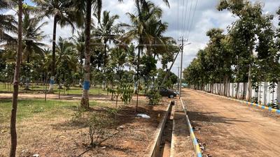 Image of 6012 Sq.ft Residential Plot / Land for sale in Hunsur, Mysore for Rs. 3584000
