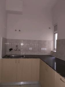 Kitchen Image of 805 Sq.ft 2 BHK Apartment / Flat for sale in Amrapali Dream Valley 2, Noida Extension Greater Noida for Rs. 6005040