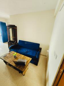 Hall Image of 681 Sq.ft 2 BHK Penthouse for sale in Sankalp Alexa Homes, Jagatpura Jaipur for Rs. 8000000