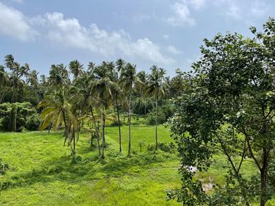 Image of 3415 Sq.ft 4 BHK Villa for sale in Morjim, Goa for Rs. 65500000