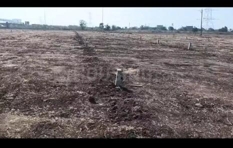 Aasara saoner nagpur Main Image 1