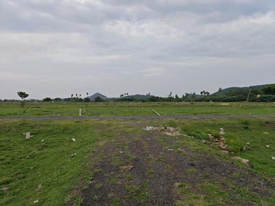Image of 1180 Sq.ft Residential Plot / Land for sale in Mahindra World City, Chennai for Rs. 1770000