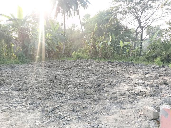 Nature paradise joka DH Road Main Image 1