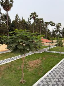 Image of 1084 Sq.ft Residential Plot / Land for sale in Kariampalayam, Coimbatore for Rs. 1633700