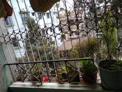 Balcony Image of 640 Sq.ft 2 BHK Apartment / Flat for sale in Park View, Diamond Harbour South 24 Parganas for Rs. 2000000