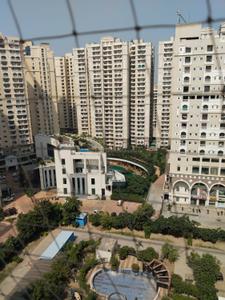 Image of 1050 Sq.ft 2.5 BHK Apartment / Flat for rent in Amrapali Castle, Chi V, Greater Noida for Rs. 26000