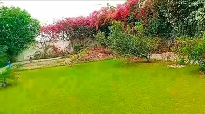 Image of 19000 Sq.ft 4 BHK Farm House for sale in Sultanpur, Gurgaon for Rs. 42000000