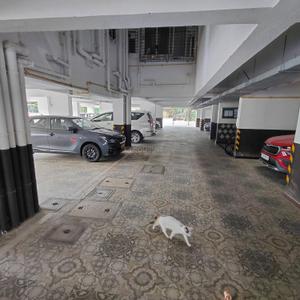 Image of 1200 Sq.ft 2 BHK Apartment / Flat for rent in Devashri Vasudev Vihar, Panjim, Goa for Rs. 50000