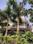 Swarn Nagari Building View 1