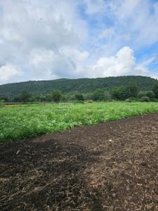 Image of 5500 Sq.ft Residential Plot / Land for sale in Ralamandal, Indore for Rs. 8530500