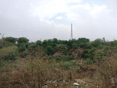 Sector 78 Plot View 2