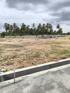 Image of 1496 Sq.ft Residential Plot / Land for sale in Periyanaickenpalayam, Coimbatore for Rs. 790000