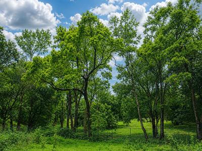 Image of 300 Sq.ft Residential Plot / Land for sale in Malsi, Dehradun for Rs. 18000000