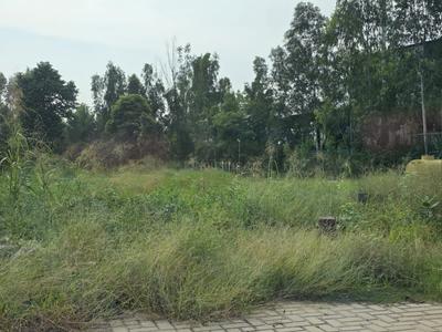 Image of 3375 Sq.ft Residential Plot / Land for sale in ATS Golf Meadows 1, Ashiana Colony, Dera Bassi for Rs. 11250000