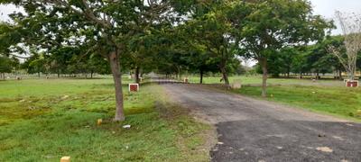 Image of 853 Sq.ft Residential Plot / Land for sale in Chengalpattu, Chennai for Rs. 1236850