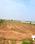 Gokulam gardens Plot View 2