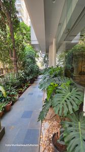 Image of 2888 Sq.ft 4 BHK Apartment / Flat for sale in Parinee Aria, Juhu, Mumbai for Rs. 108500000