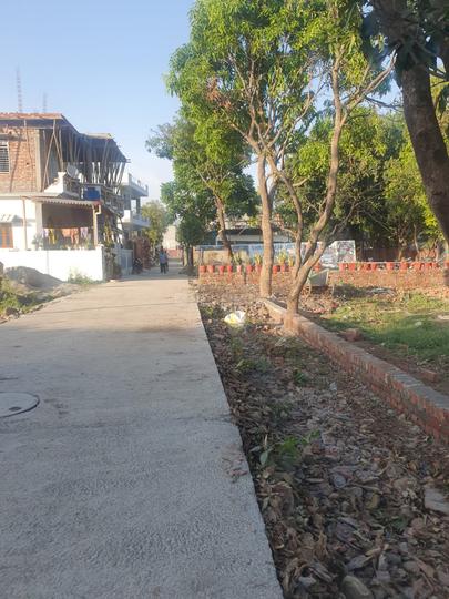 Balawala Main Image 1